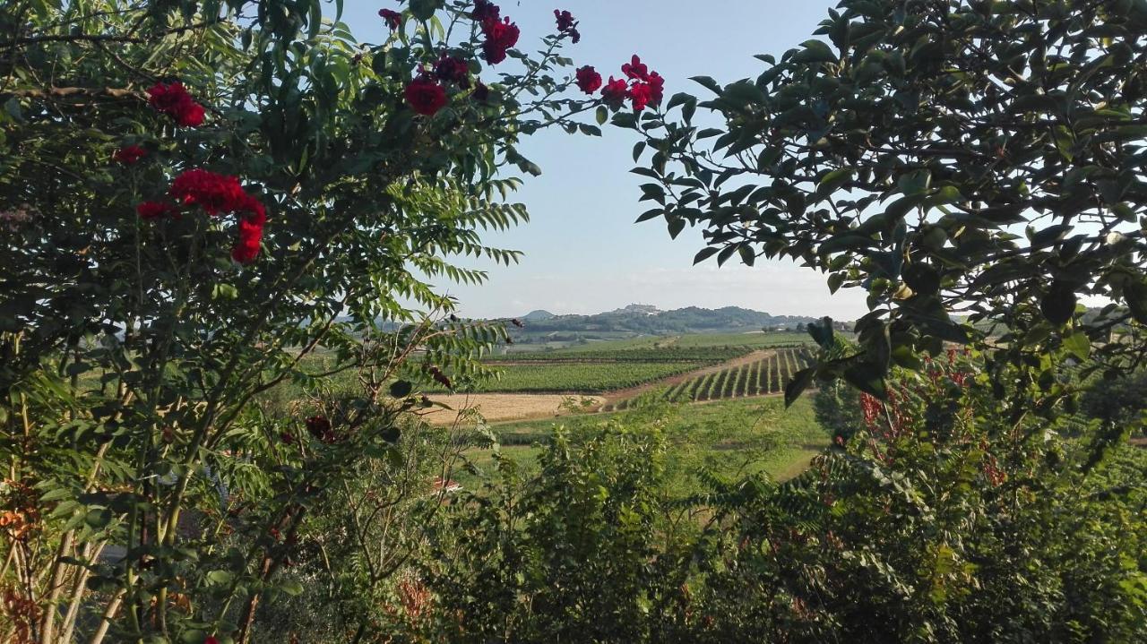 Agriturismo La Chiesina Abbadia di Montepulciano Bagian luar foto