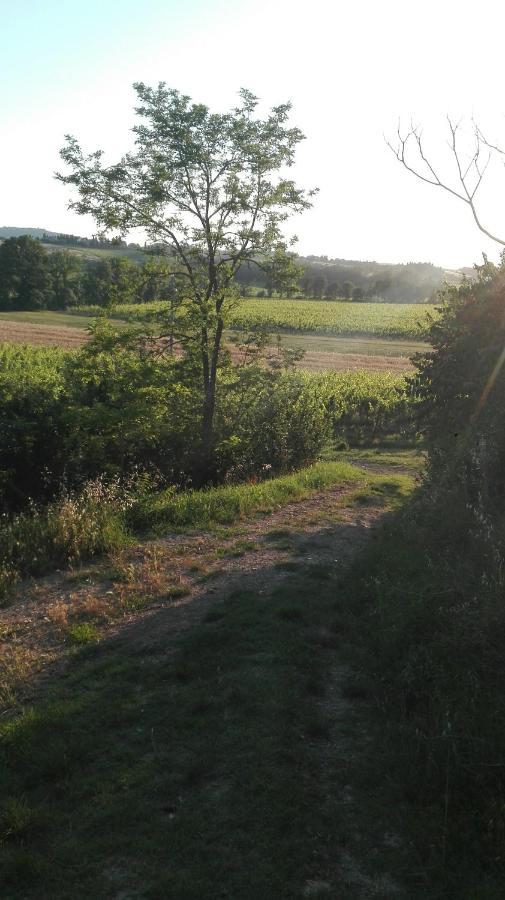 Agriturismo La Chiesina Abbadia di Montepulciano Bagian luar foto