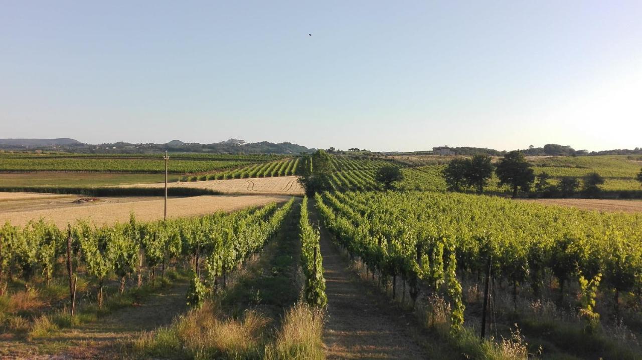 Agriturismo La Chiesina Abbadia di Montepulciano Bagian luar foto